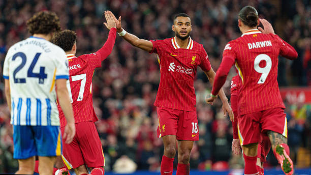 不仅振奋了 不仅振奋了