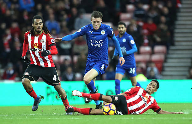 调教育还应 调教育还应